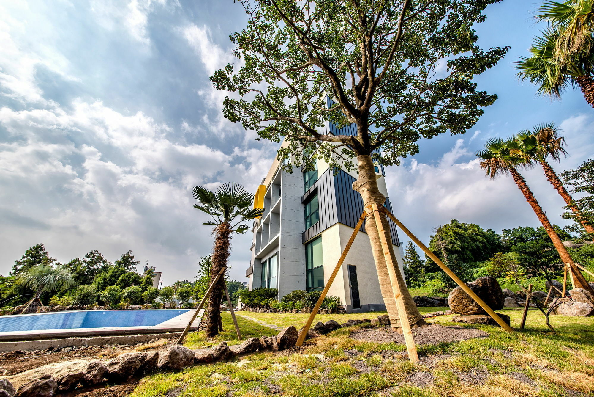 Sunrise Hotel Jungmun Branch Seogwipo-stad Buitenkant foto